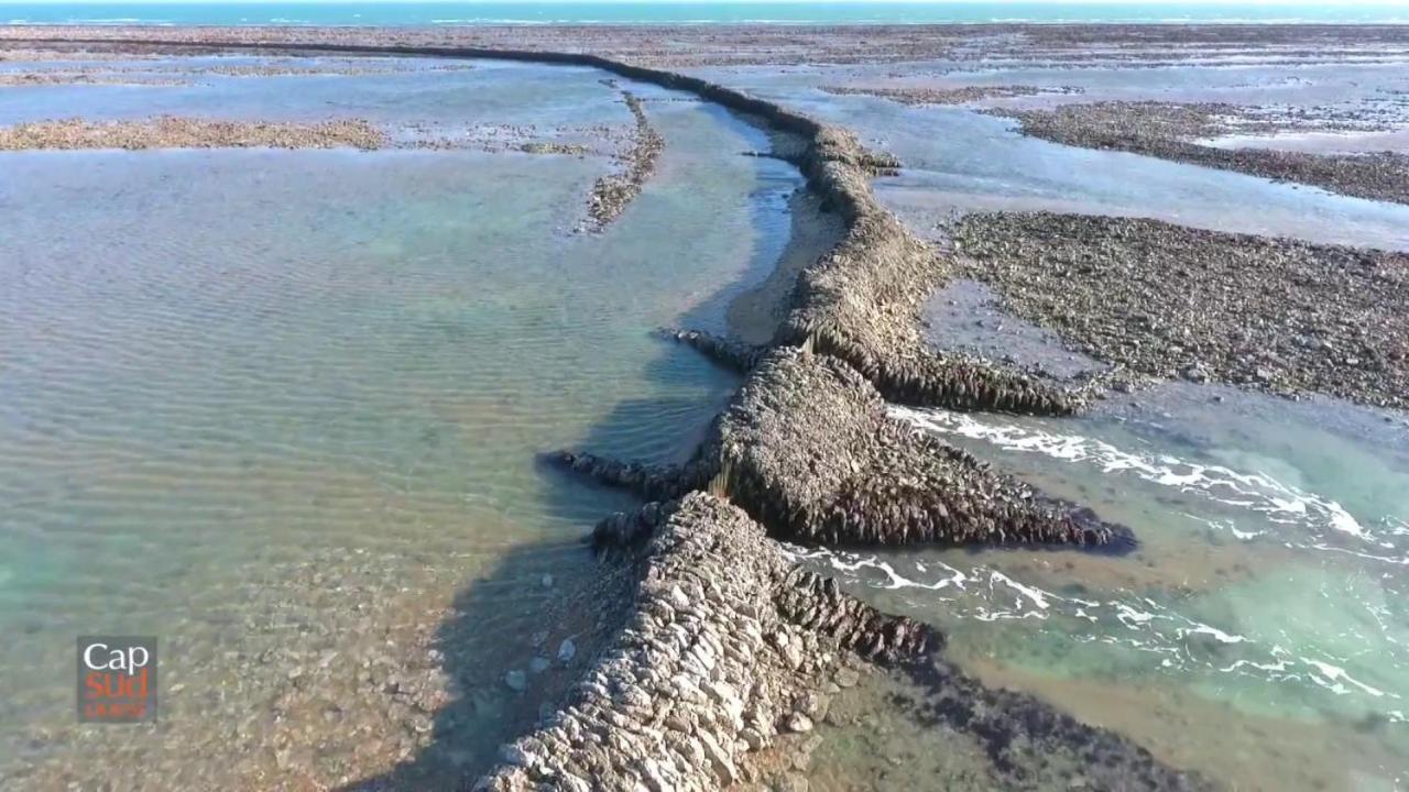 Les Pieds Dans L'Eau Acces Direct A La Plage La Cotinière Exterior foto