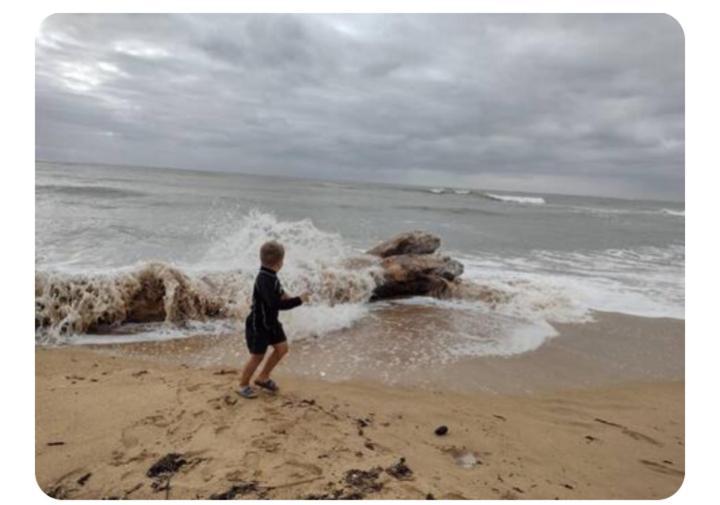Les Pieds Dans L'Eau Acces Direct A La Plage La Cotinière Exterior foto