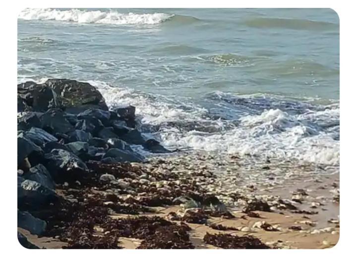Les Pieds Dans L'Eau Acces Direct A La Plage La Cotinière Exterior foto